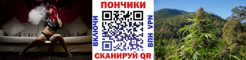 Цена Устюжна МЕГА как войти  Амфетамин  Меф  Гашиш 
