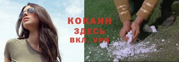 ПСИЛОЦИБИНОВЫЕ ГРИБЫ Аркадак