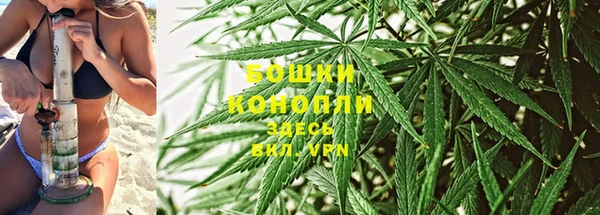 сатива Армянск