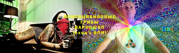ПСИЛОЦИБИНОВЫЕ ГРИБЫ Аркадак