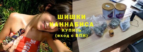ПСИЛОЦИБИНОВЫЕ ГРИБЫ Аркадак