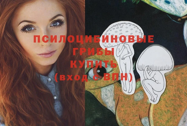 скорость Алзамай